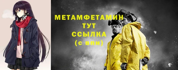 прущие грибы Медвежьегорск
