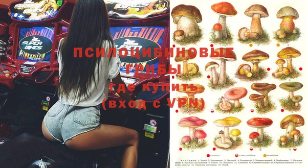 ECSTASY Мегион