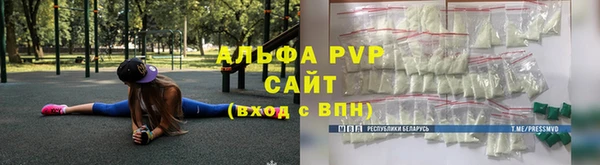 прущие грибы Медвежьегорск