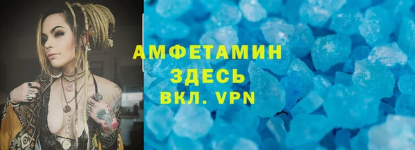 прущие грибы Медвежьегорск
