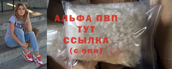прущие грибы Медвежьегорск