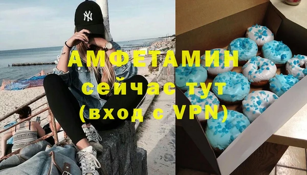 прущие грибы Медвежьегорск