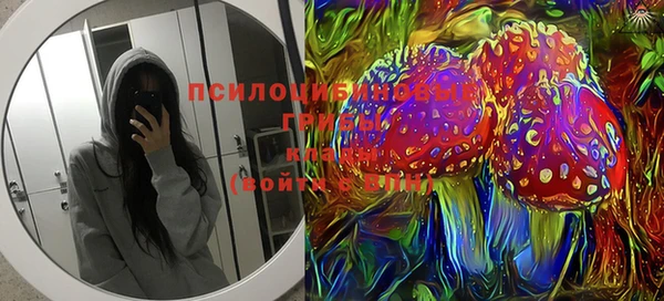 ешки Медногорск