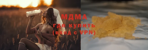 прущие грибы Медвежьегорск