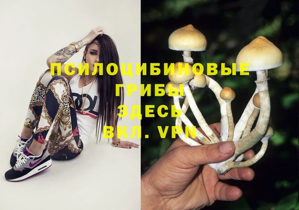 ECSTASY Мегион