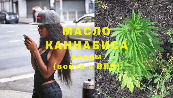 прущие грибы Медвежьегорск