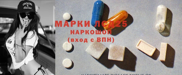прущие грибы Медвежьегорск