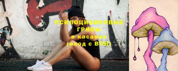 ешки Медногорск